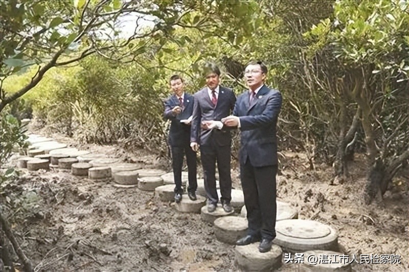 砥砺前行提升检察工作质效,广东检察政治工作高质量