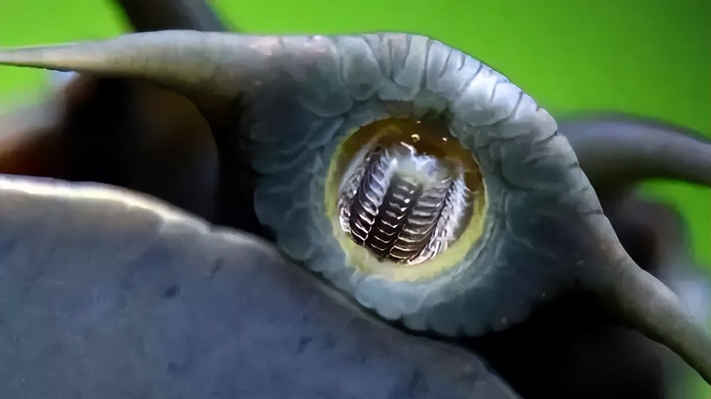 你知道的最震惊的冷知识是什么？