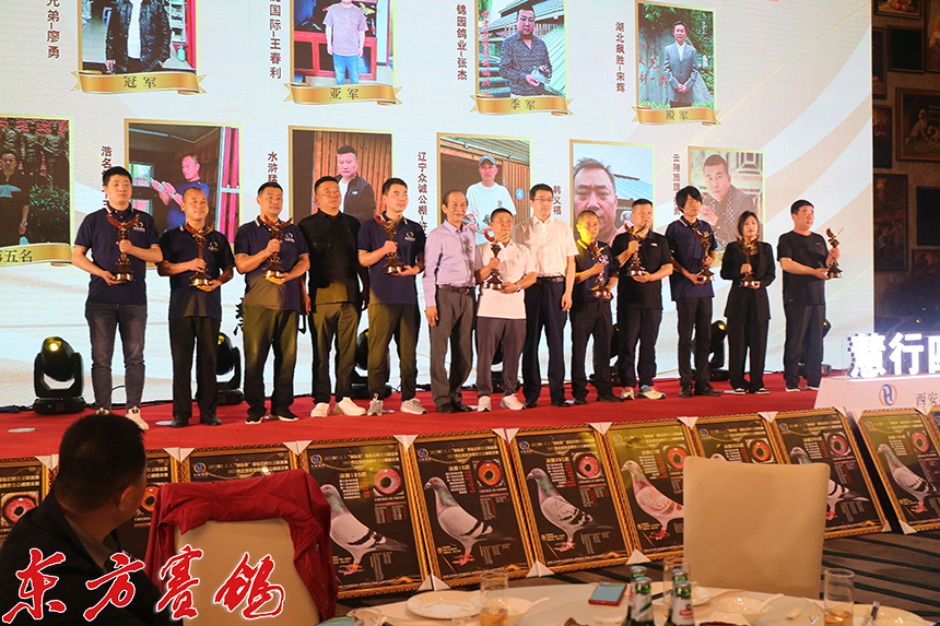 慧能信鸽秋棚晚宴,慧能金鸽源公棚春棚