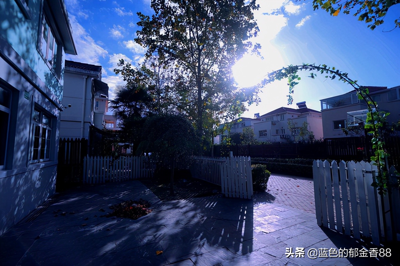 周末白相里的一张床、一群朋友、暴走于迪士尼乐园