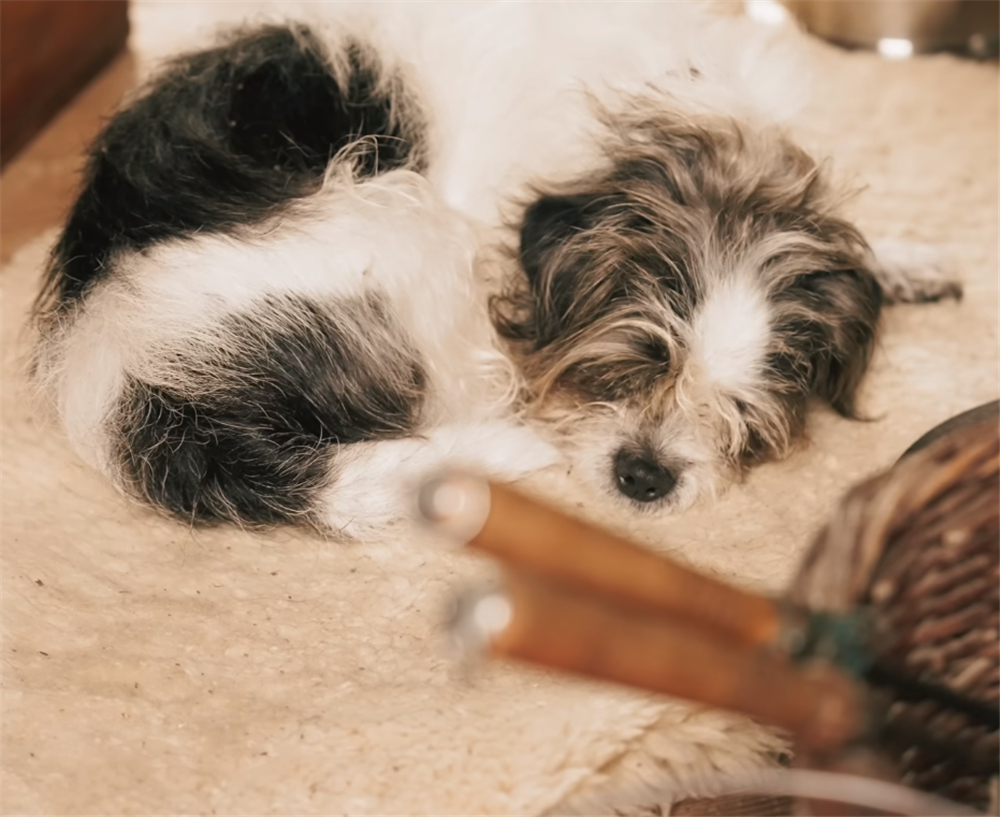 发现一位74岁奶奶的蜗居：16㎡小家没电没暖气，她却一住就是30年