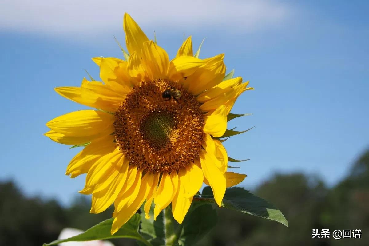 励志小故事儿童,励志小故事