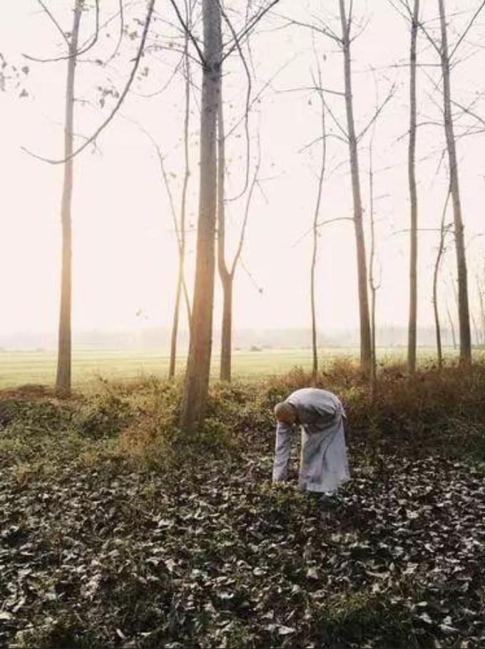 被通缉12年杀人犯落网,通缉犯红桃五潜逃16年