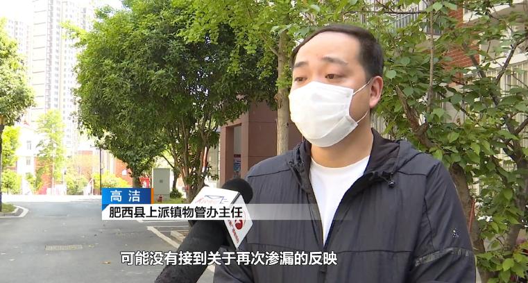 墙面渗水、掉皮、发霉…合肥多户居民苦不堪言！