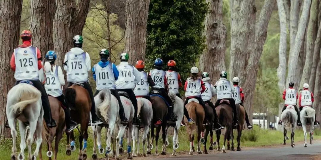 耐力赛骑手和马匹的装备，该如何选择？