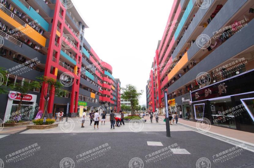 广东高职高考3+证书有哪些学校,广东省高职高考岭南职业技术学院