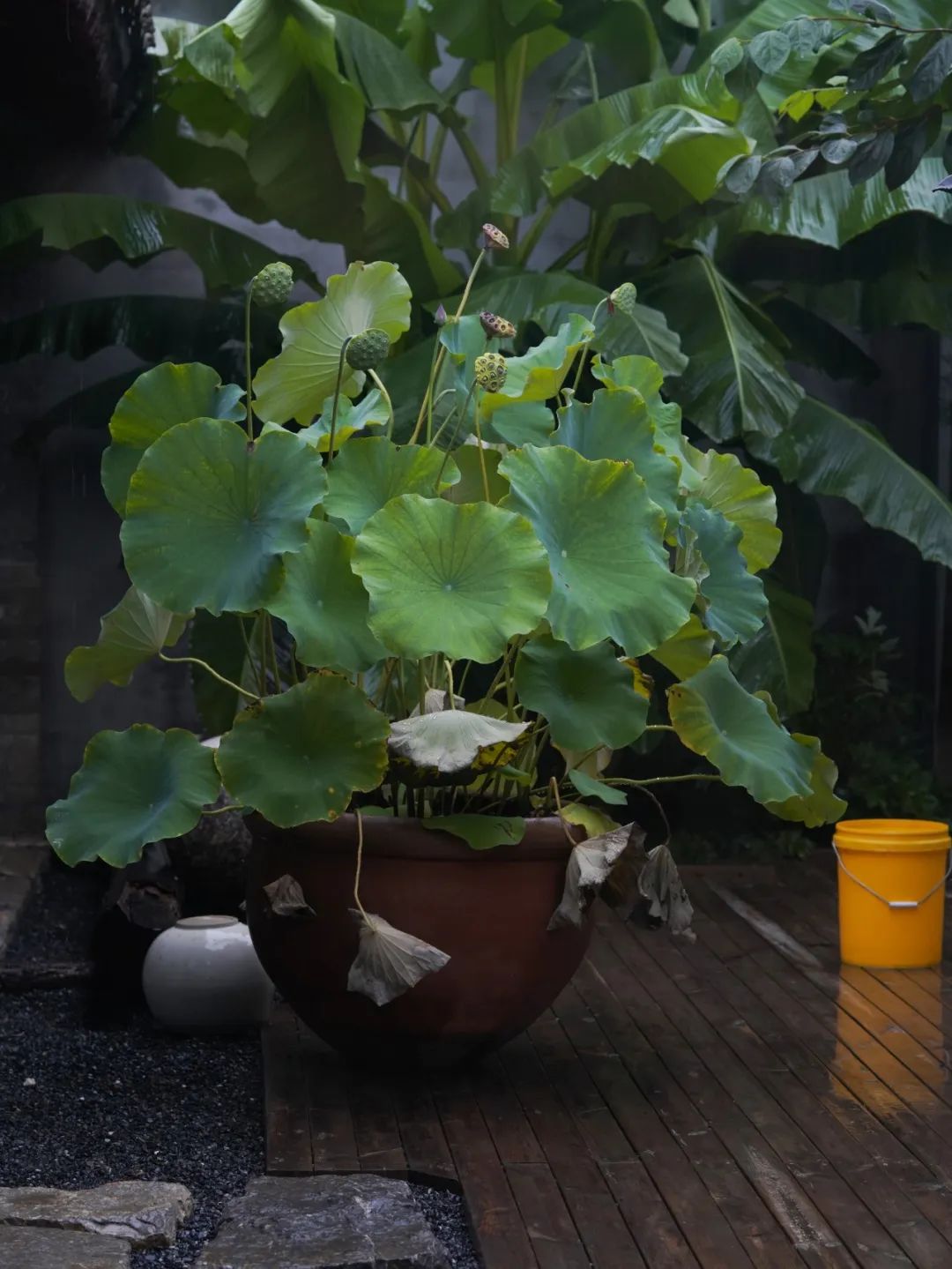 疫情三年,北京夫妻带女儿安守乡下400㎡土坯房