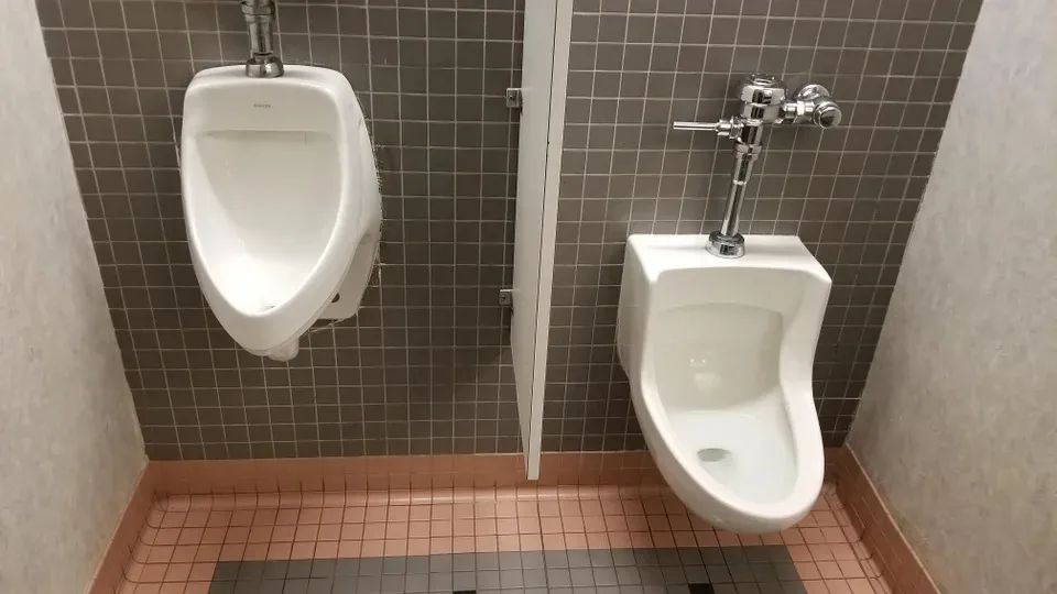 矮个子网友自爆在荷兰还没垃圾桶高？！众人围观后：又惨又好笑…