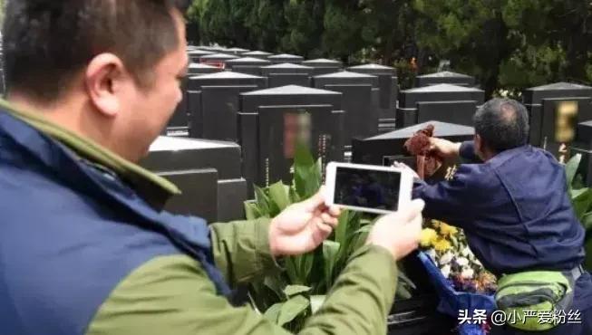 代扫墓收入情况,代扫墓成功后费用