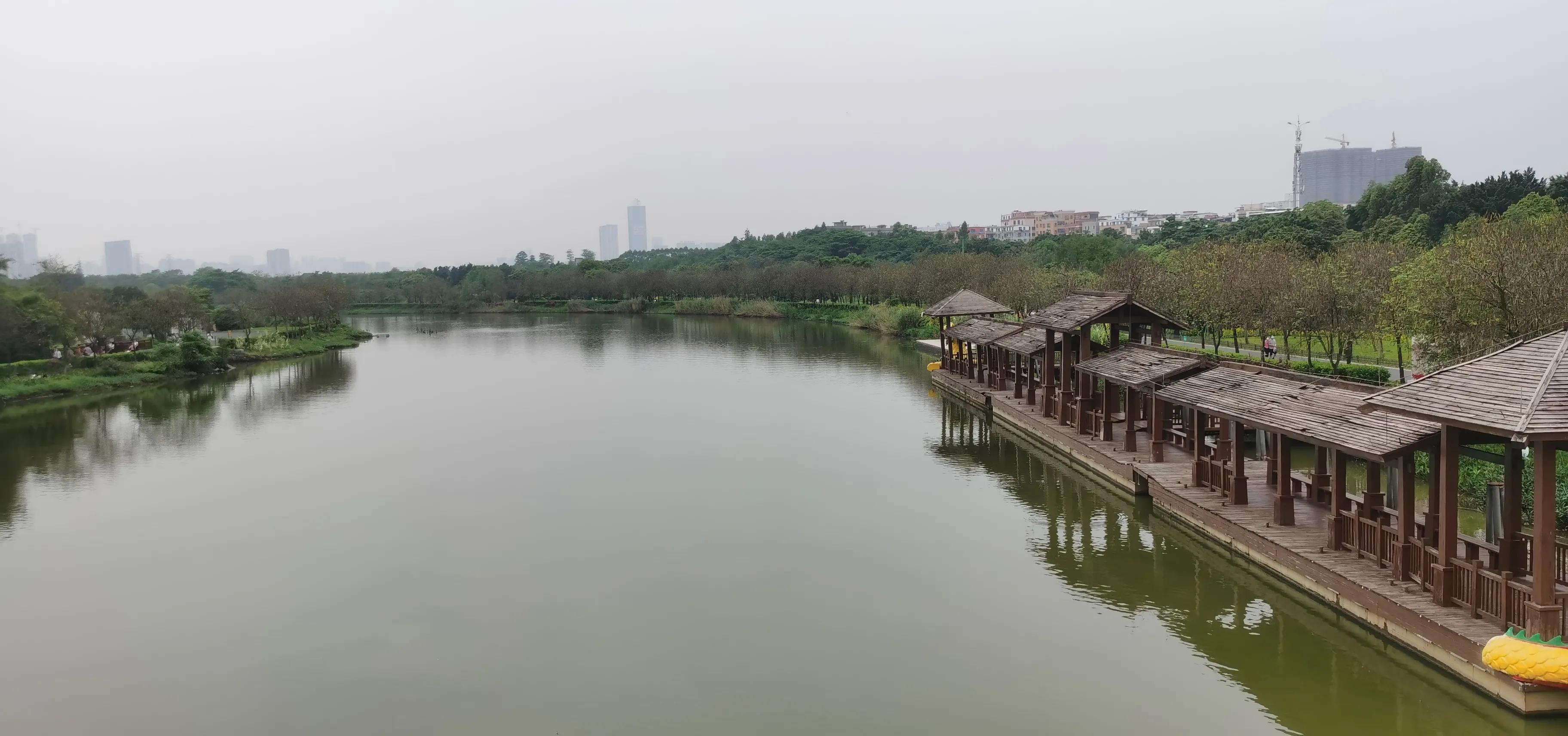 海珠湖湿地公园观鸟,海珠湖湿地公园地图