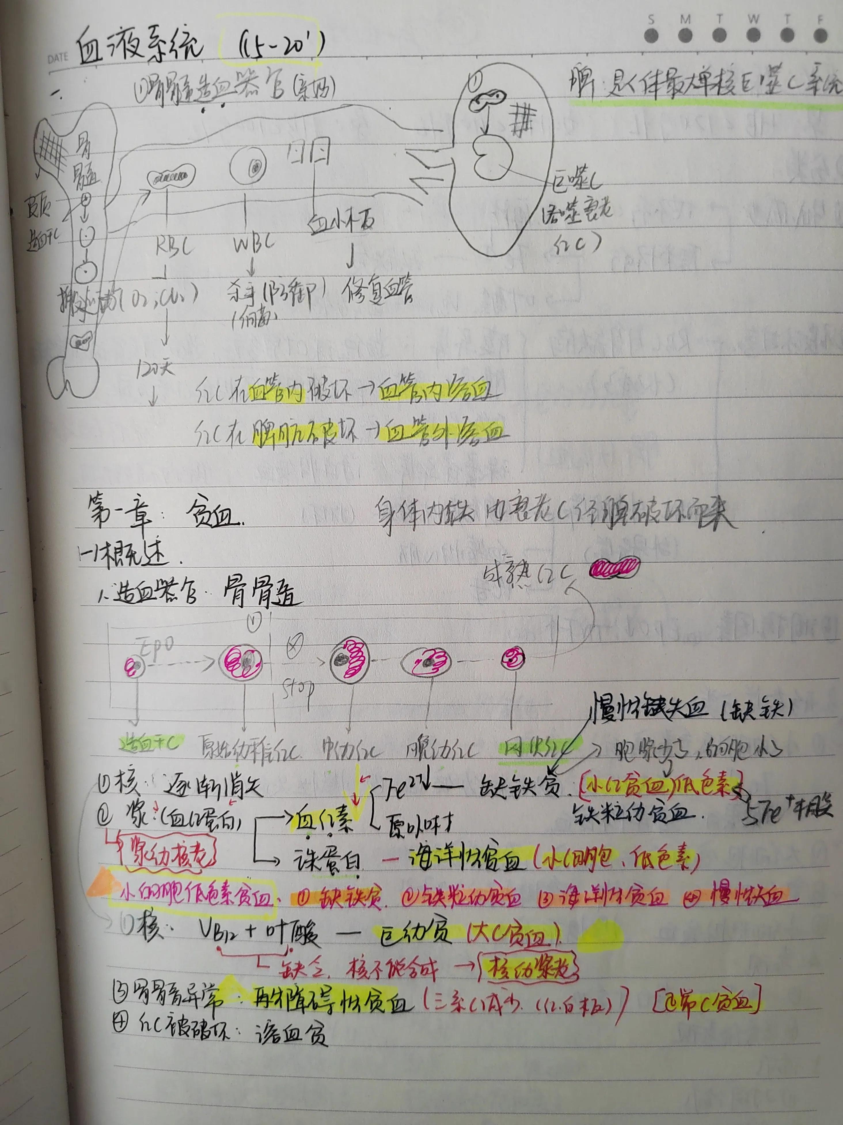 2022年中医执业助理医师考试大纲,2022年助理医师报考执业医师条件