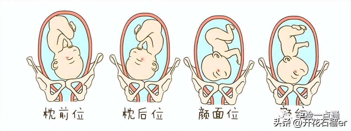 胎儿在几个月容易缺氧,胎儿一般在几个月容易停胎