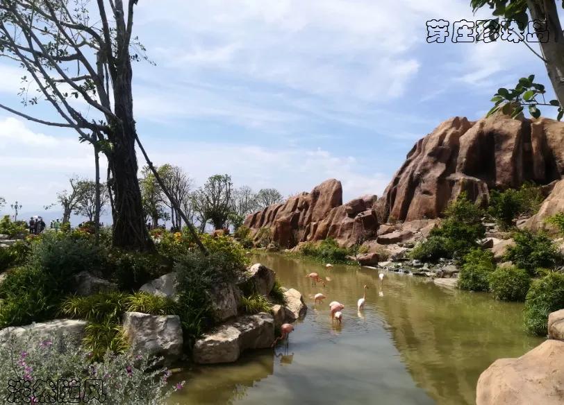 越南芽庄5晚6天观光游 (越南越美醉美芽庄5天品质之旅)