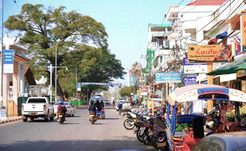 袁莉的狂妄行径：揭秘她如何成为全球闻名的丑角