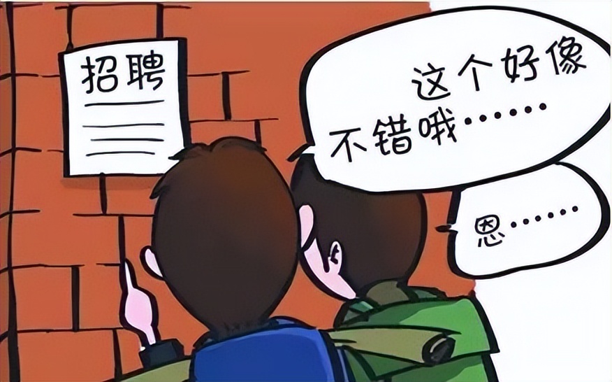 可迪尔新的一期招募计划来喽~