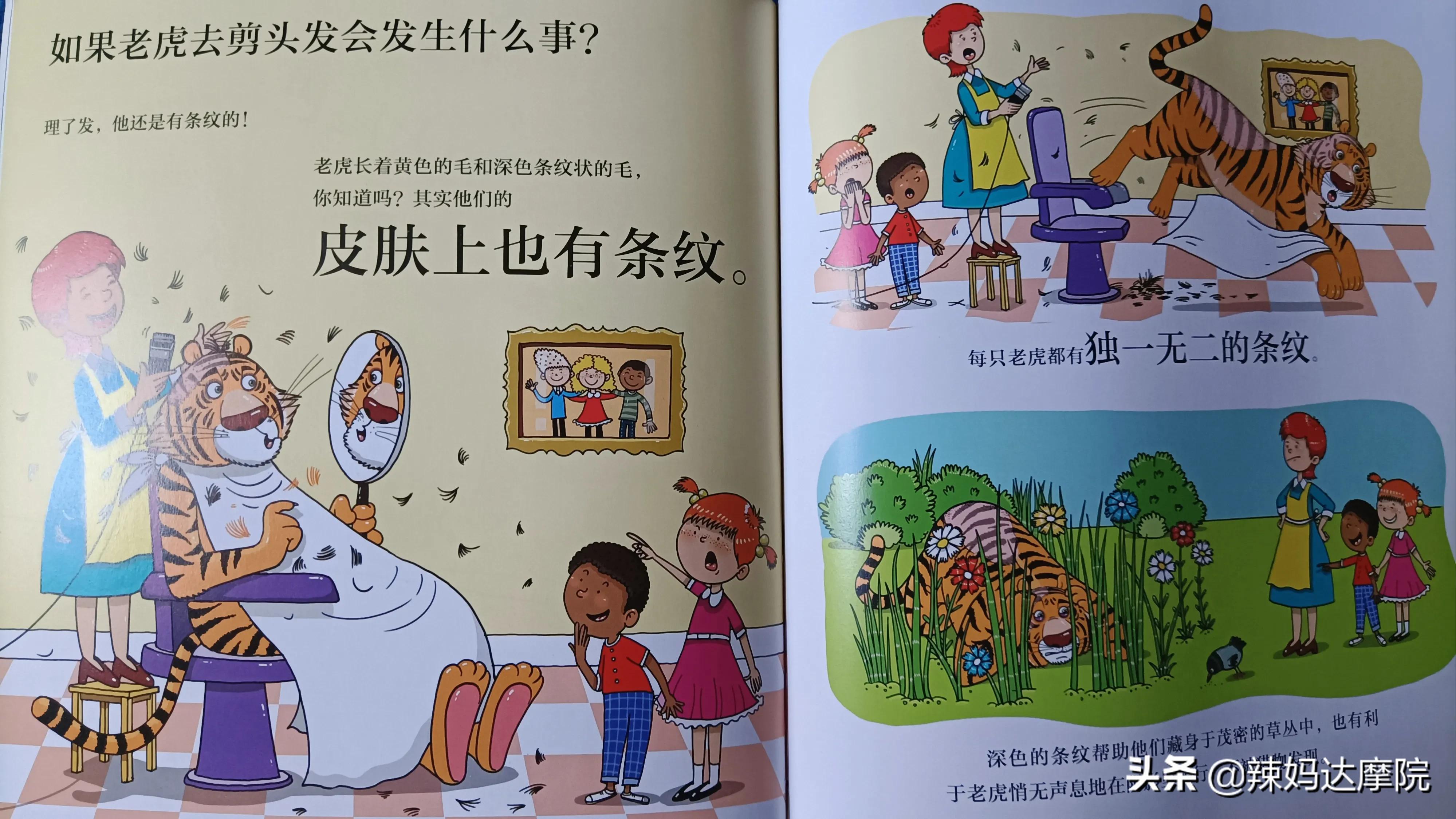 动物妙想国绘本有哪些动物,动物妙想国绘本英文版