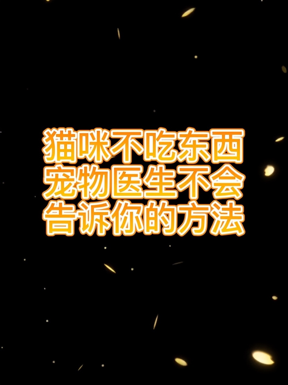 猫瘦怎么治,猫皮包骨