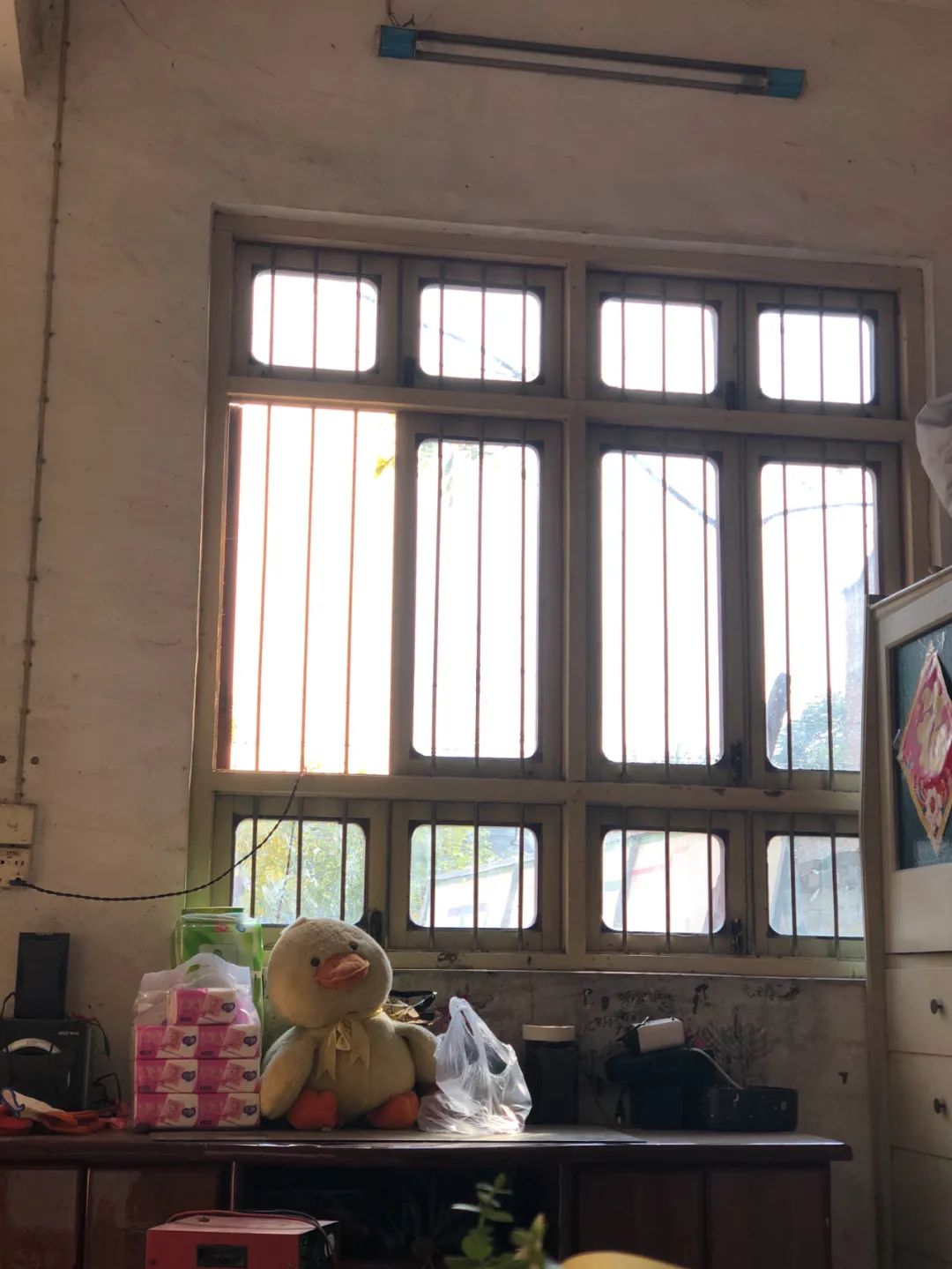 平原上的娜拉小说在哪里可以看,平原上的娜拉是什么意思