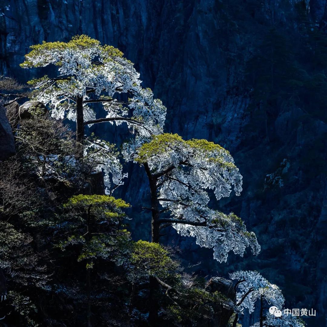 四季黄山,最治愈你的是哪一个季节