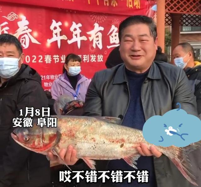 物业现捕5000条鱼送业主,物业买万斤鲢鱼发给业主