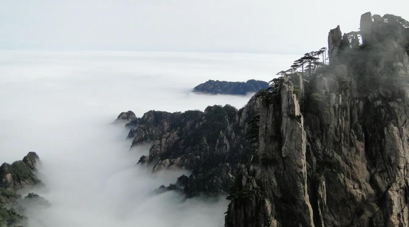 弘扬传统文化的说法,中国传统文化传承怎么称呼