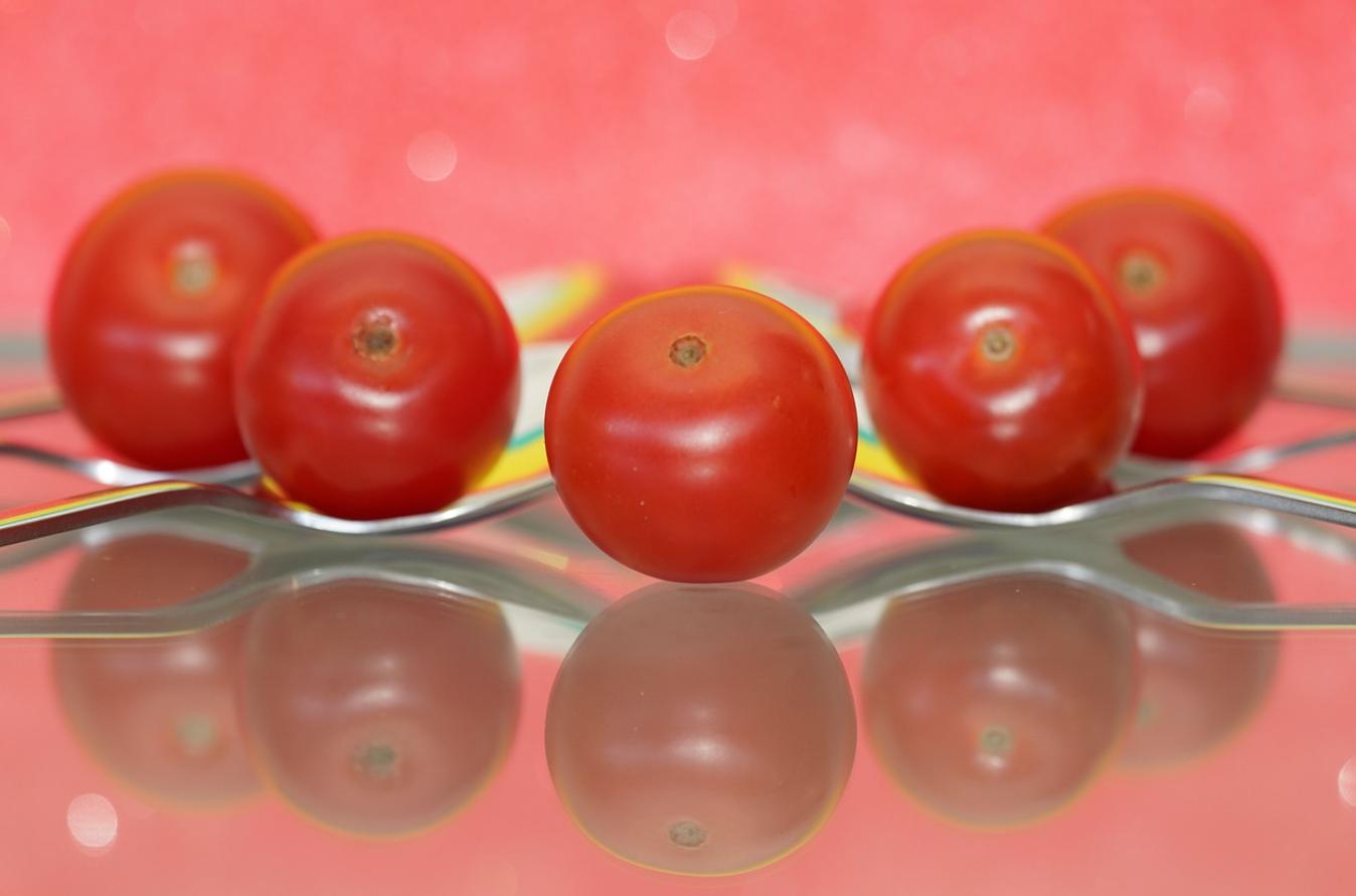 小学生词根词缀速记3500单词书,小学900单词