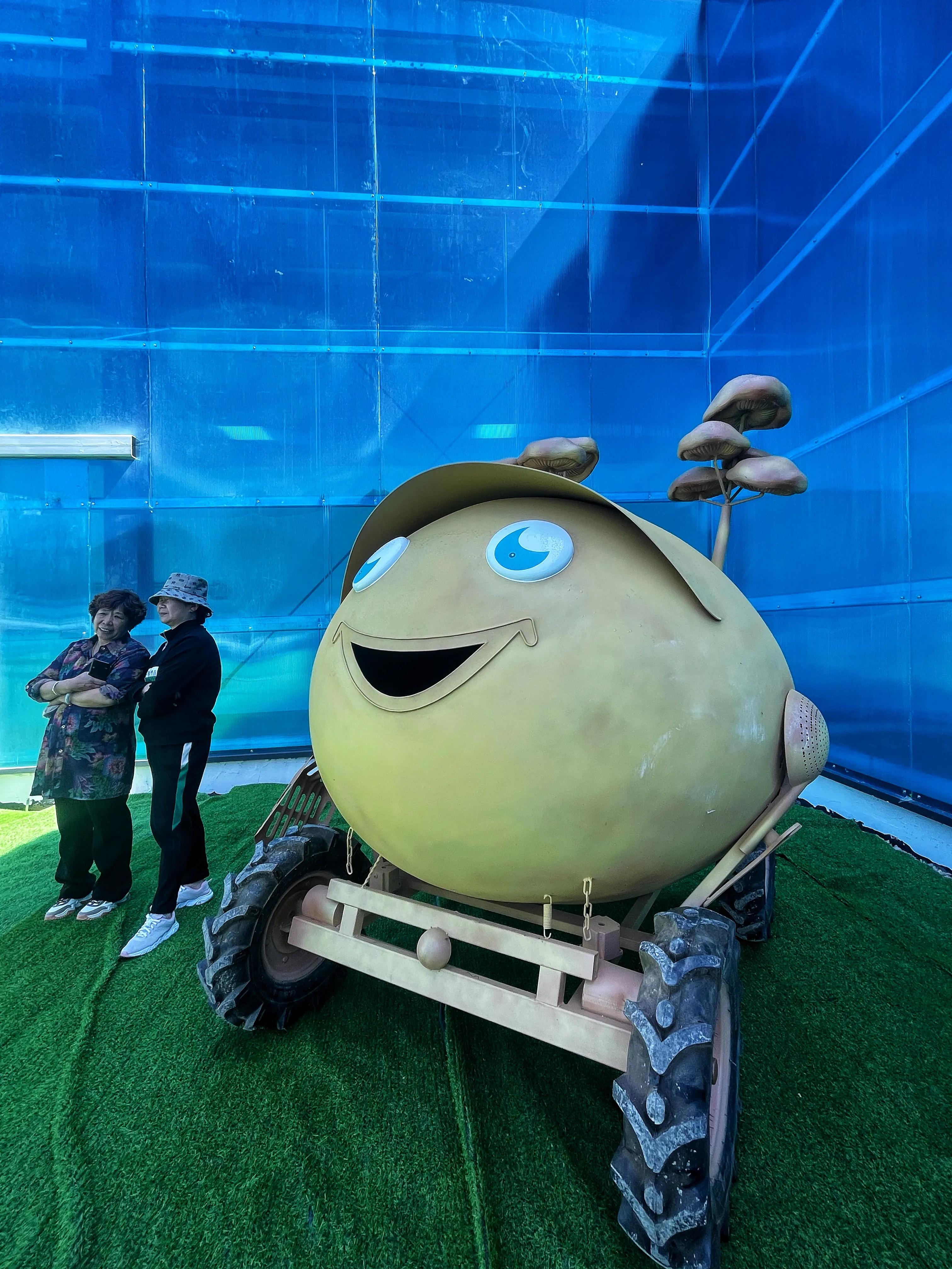 乡村振兴浮山小土豆,乡约乡村振兴