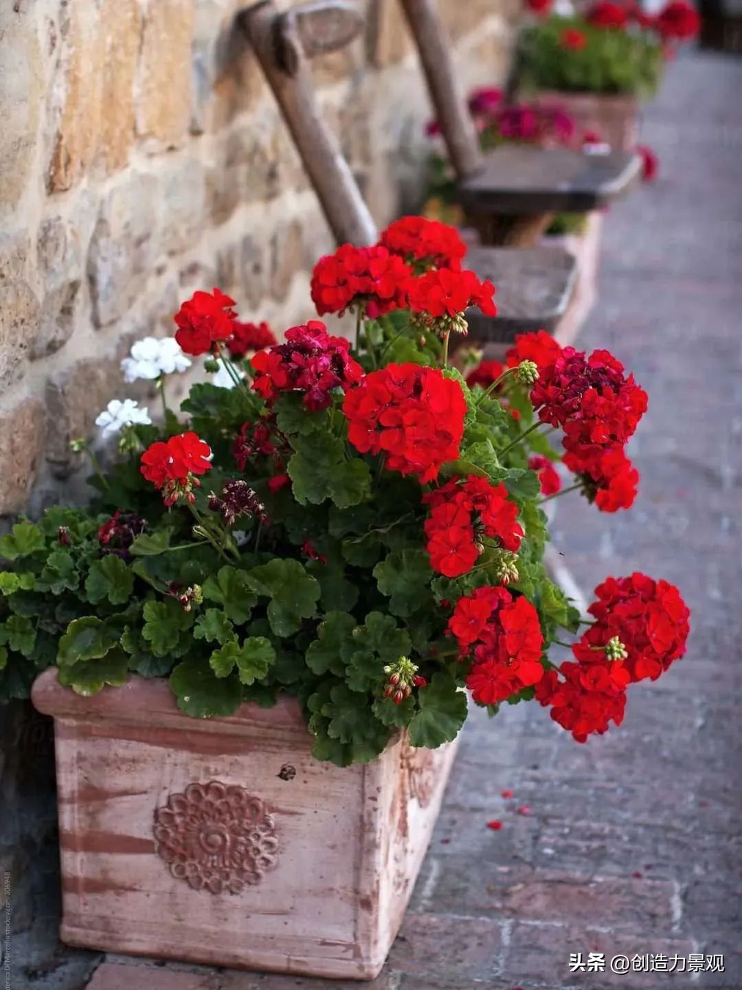 花箱小庭院景观设计,庭院花箱设计款式大全