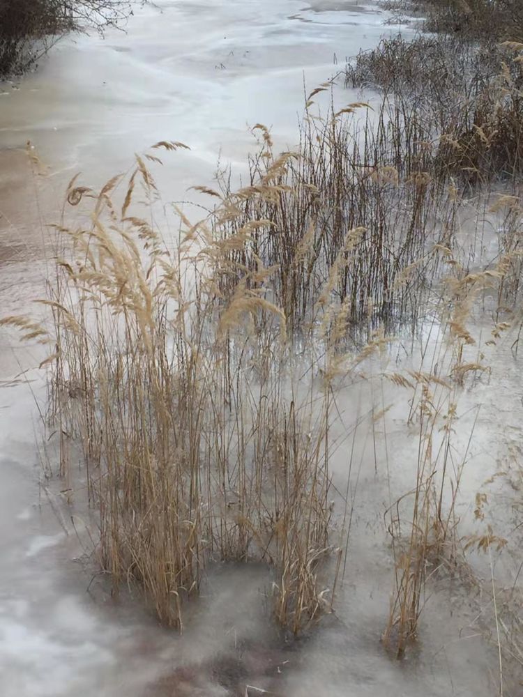 话说天水图文并茂,天水话说天水
