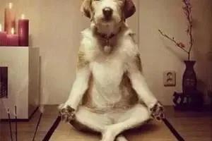 误把洗面奶当牙膏使用了,一不小心把洗面奶当牙膏