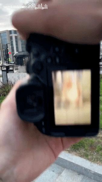 俄罗斯逃课女孩走红,俄罗斯女生被偷拍爆红网络