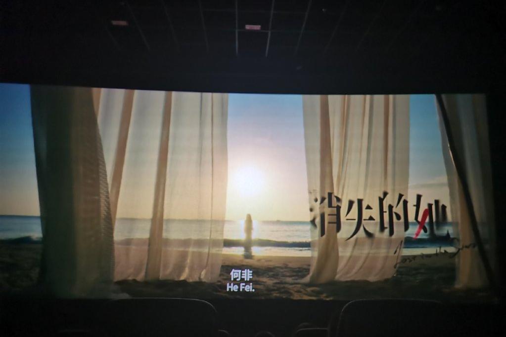 消失的她电影解析详细,消失的她电影解说