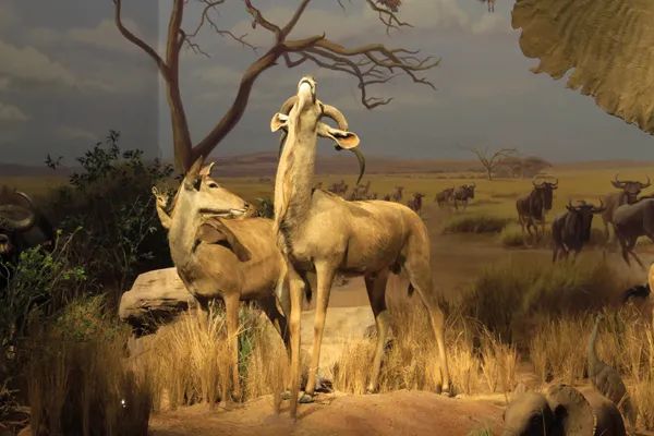 济南值得去的展馆,济南什么馆值得去参观