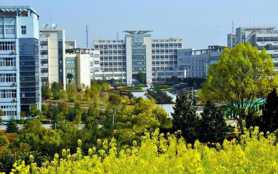 央企最好就业的大学排名,三峡大学入职国企