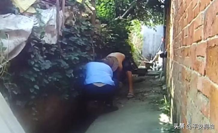 夏季行动治安打击整治,夏季专项整治行动成果