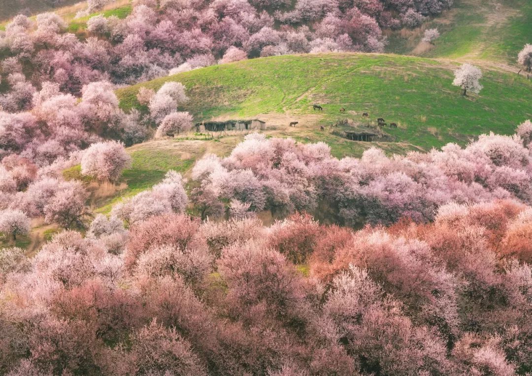 60岁之前必去的34省区最美天堂,最真实最美的旅游地方