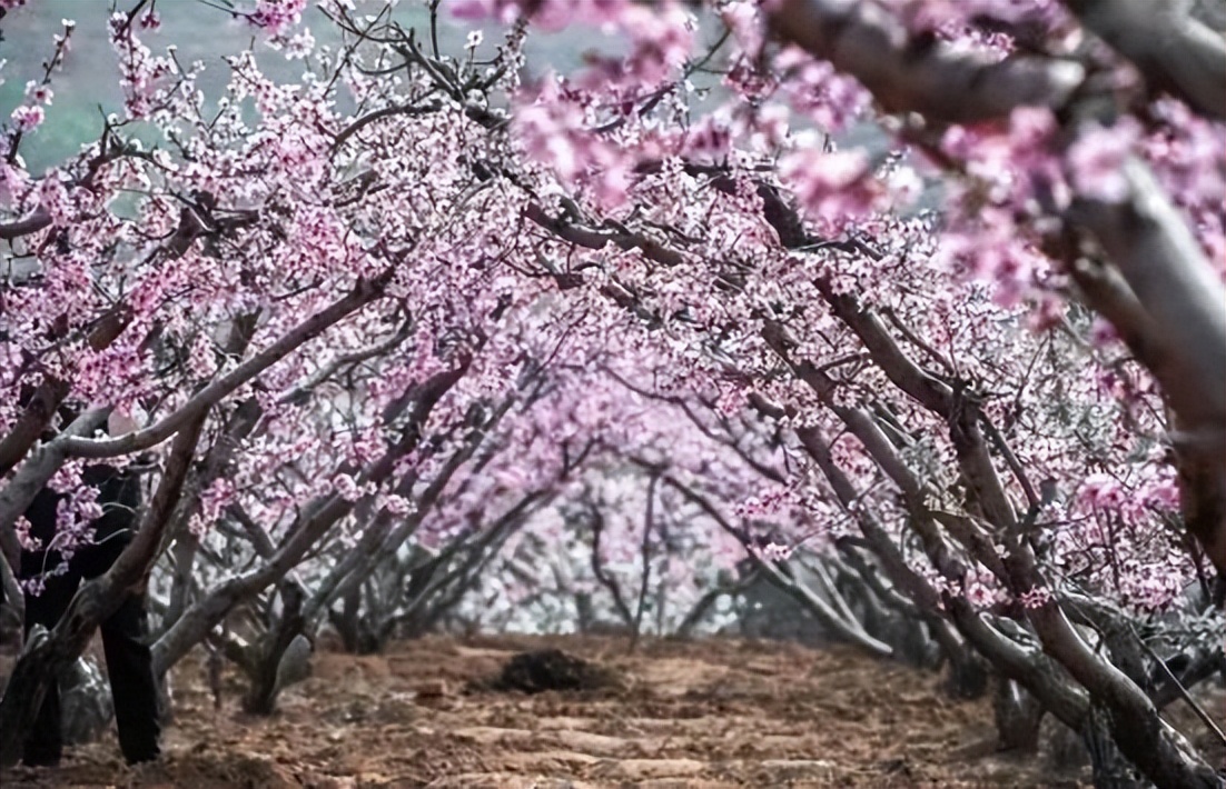 五一游淄博博山|这份出游地图快收好→