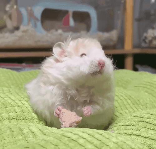 沙雕搞笑表情包头像,沙雕搞笑表情包图片静图