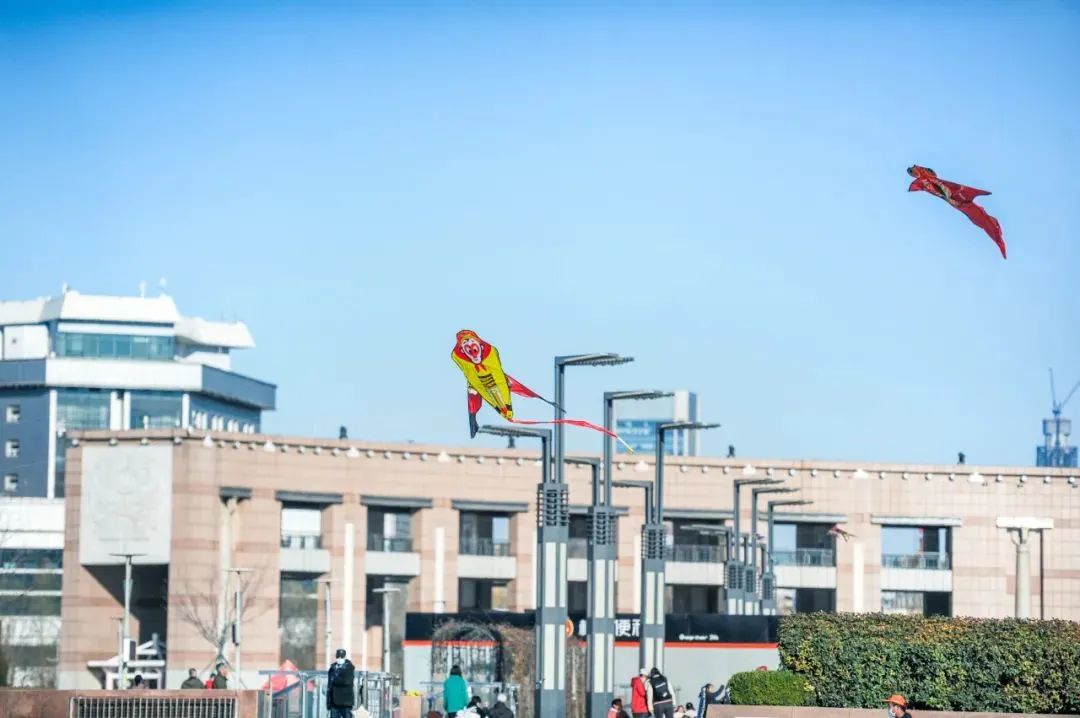 春天的天空是属于风筝的，快收藏济南这些放风筝的好地方！