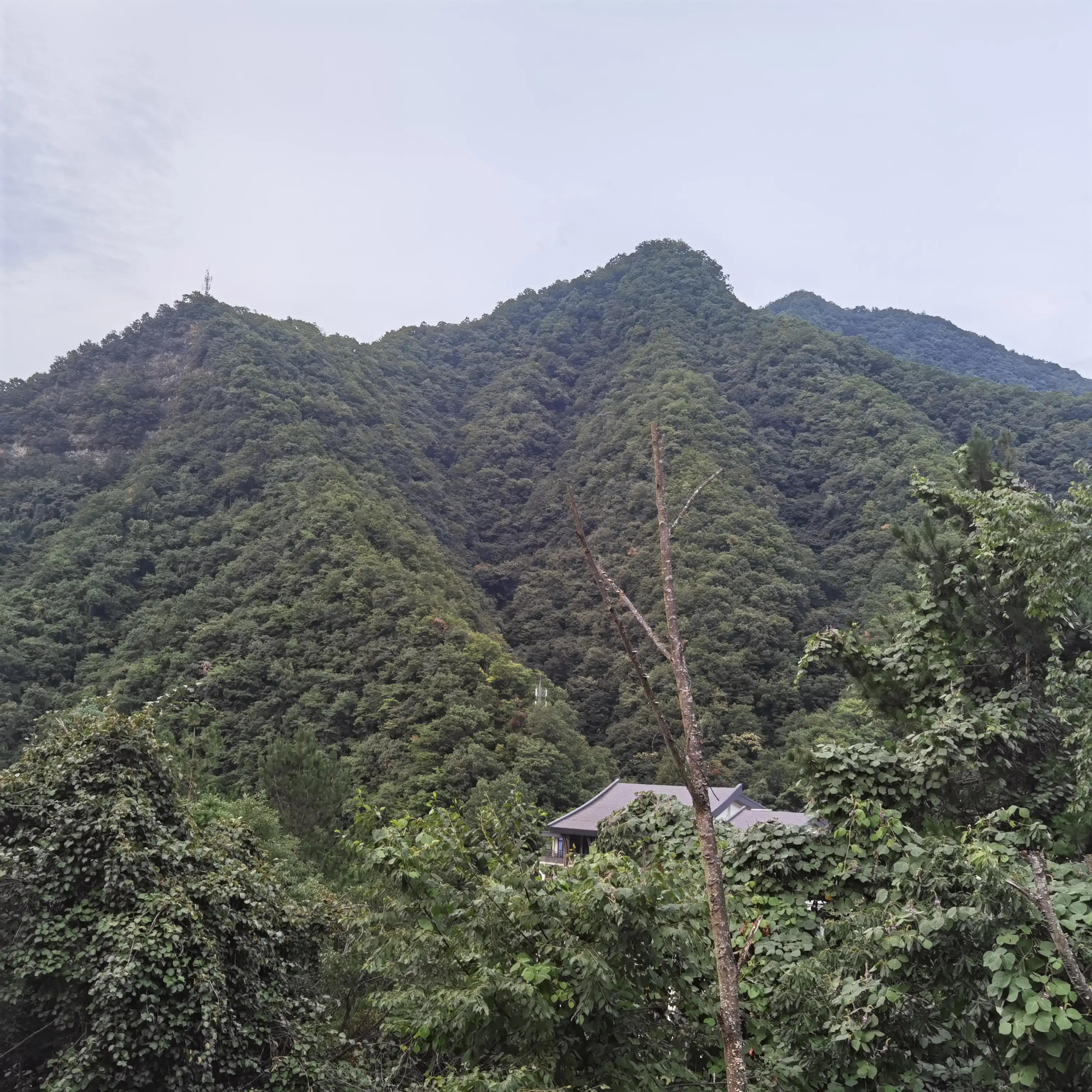 神农架木鱼镇老地方,神农架木鱼镇历史