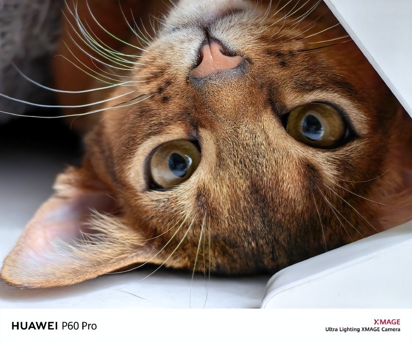 华为手机目前最值得入手的一款p60,华为p60系列哪款手机值得买