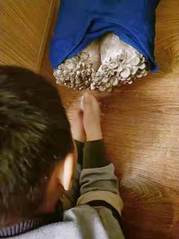 通过孵蛋学到了什么,第一次尝试孵蛋