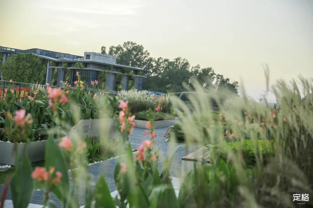 深圳户外公园最大滑滑梯,深圳滑滑梯免费南山公园附近