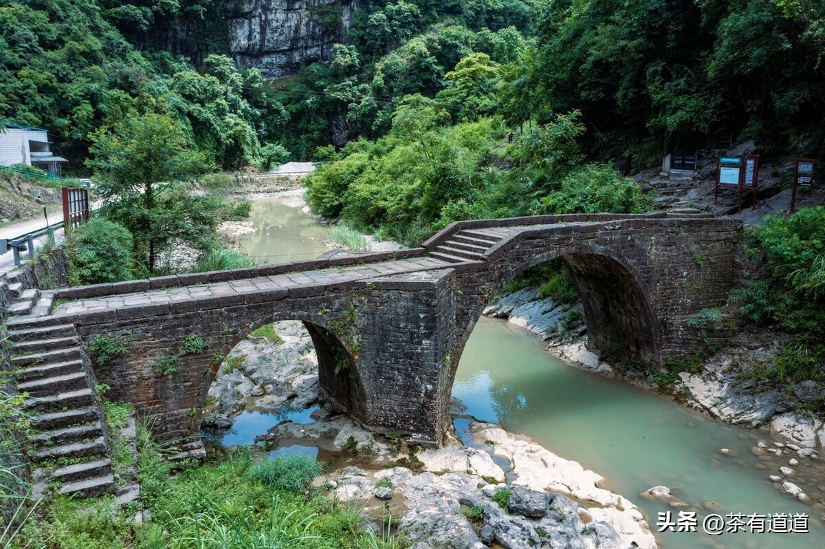 谈谈消逝的茶马古道和茶文化,茶马古道北茶之源在哪里