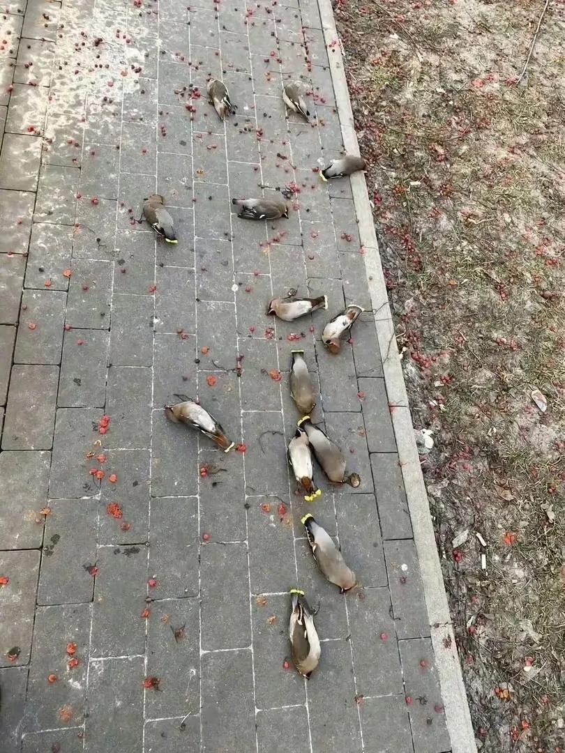 盘点沙雕穿搭,沙雕穿搭推荐