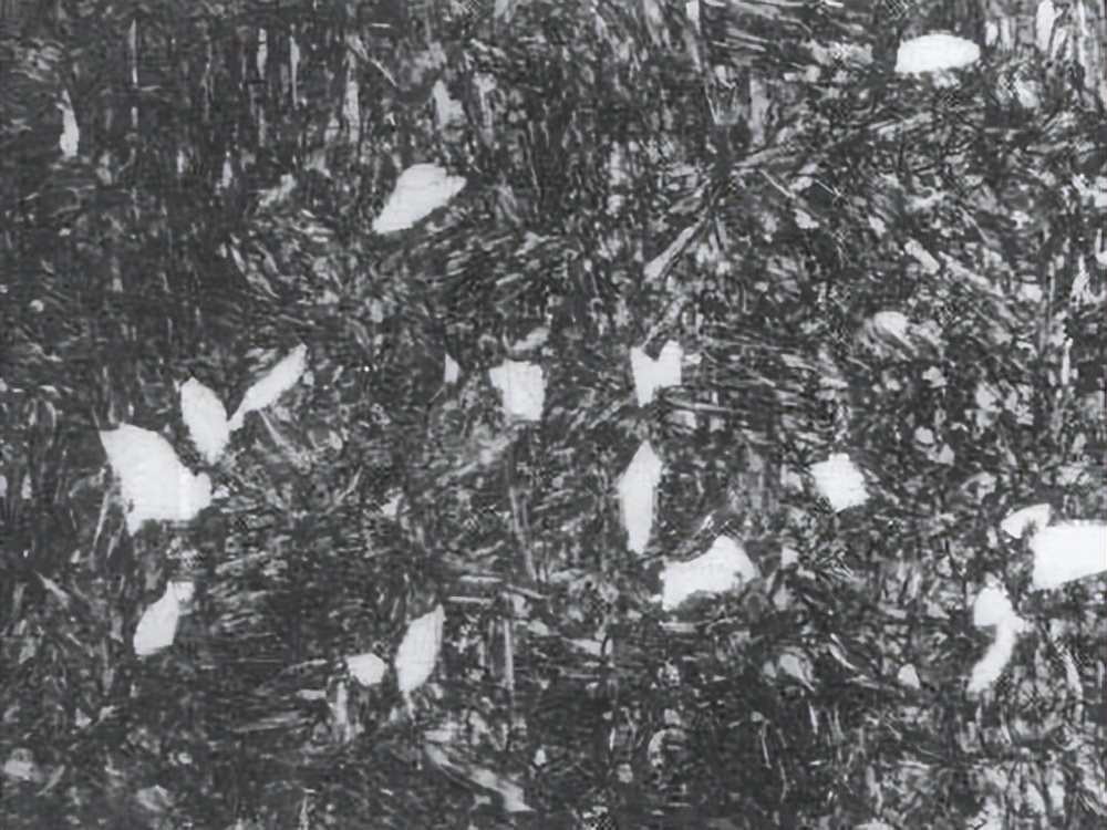 制造和铸件间变化，对AISI316H型不锈钢部件的蠕变内热老化的影响