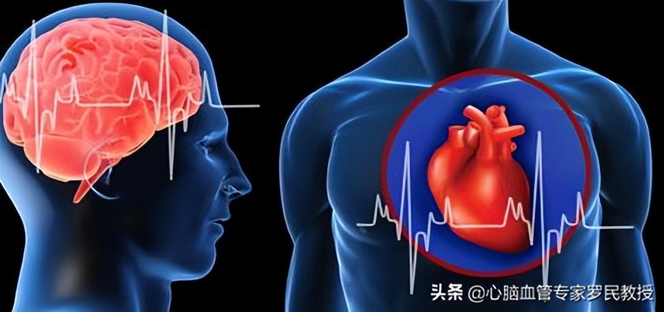 心脑血管堵塞吃什么治好,高科技治好心脑血管疾病