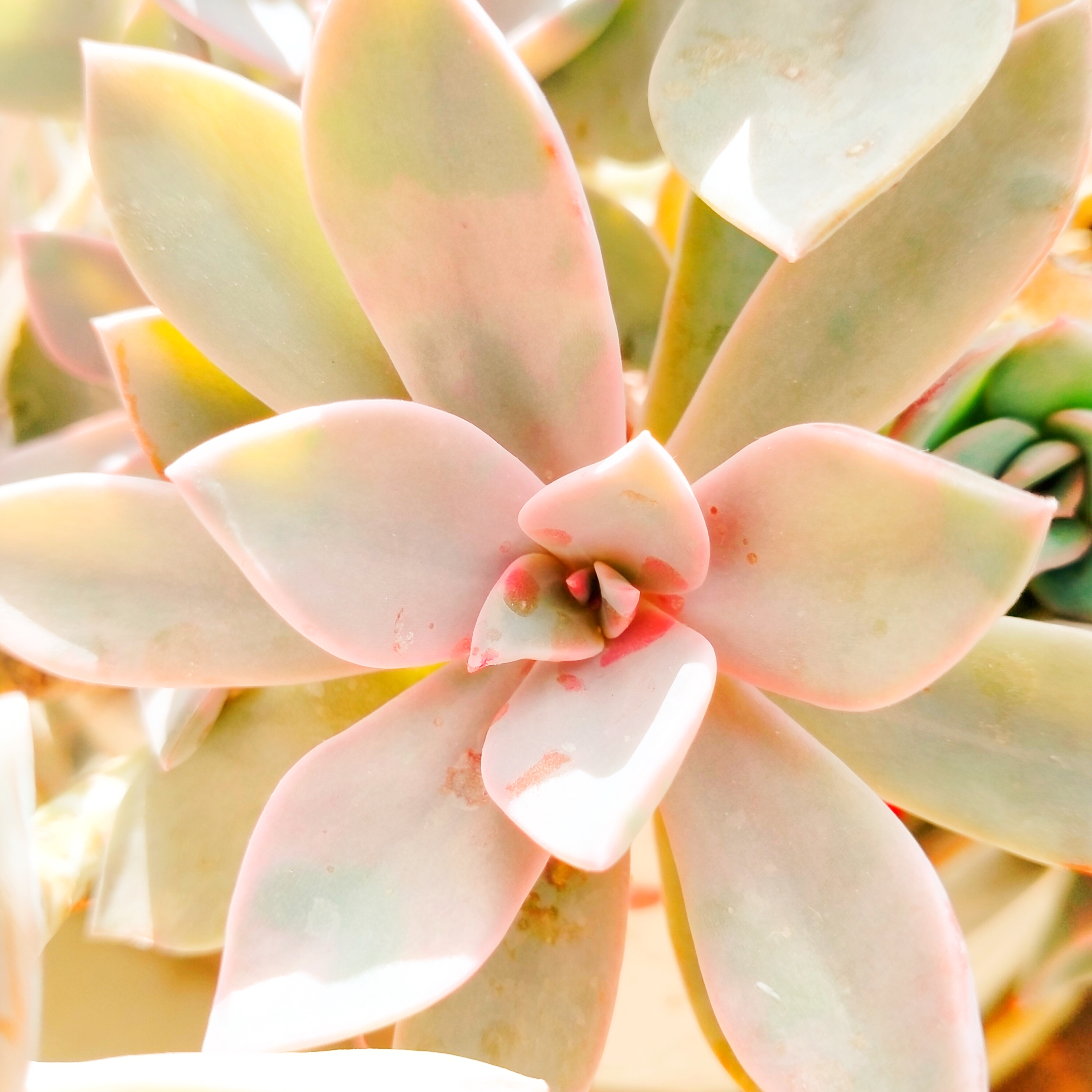 熬过山重水复迎来柳暗花明,捱过苦夏寒冬终遇柳暗花明