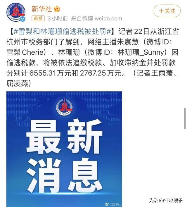 雪梨朱宸慧的十年,网红雪梨朱宸慧