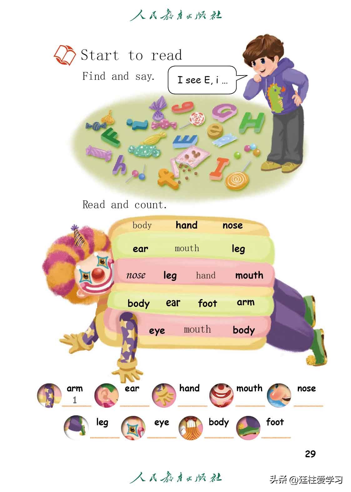 英语PEP三年级上册,三年级起点和三年级pep有什么区别